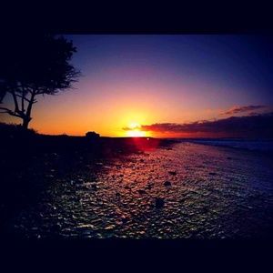 Meet your Posher, Henry